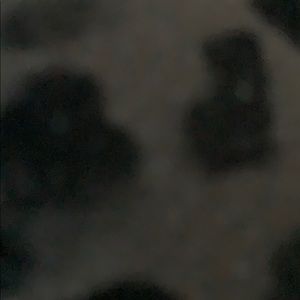 Meet your Posher, Adrian